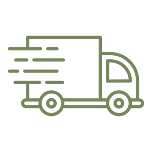 Fast-Delivery-Icon